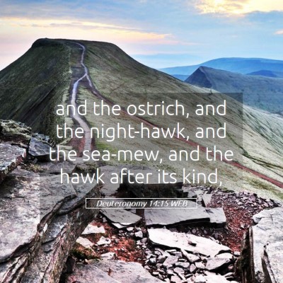 Picture 05 - Deuteronomy 14:15 WEB - and the ostrich, and the night-hawk, and the - Bible Verse Picture