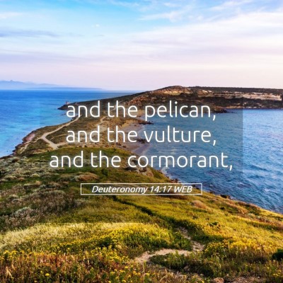Picture 05 - Deuteronomy 14:17 WEB - and the pelican, and the vulture, and the - Bible Verse Picture