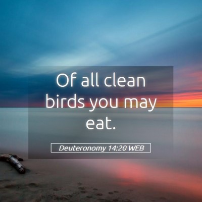 Picture 05 - Deuteronomy 14:20 WEB - Of all clean birds you may - Bible Verse Picture