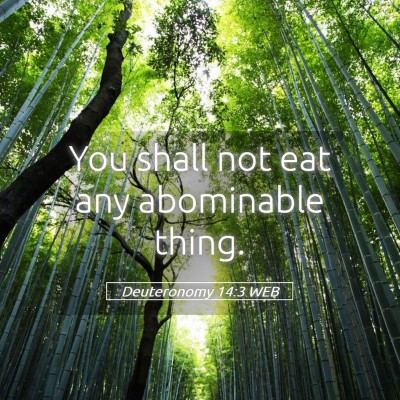 Picture 05 - Deuteronomy 14:3 WEB - You shall not eat any abominable - Bible Verse Picture