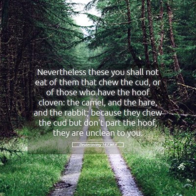 Picture 05 - Deuteronomy 14:7 WEB - Nevertheless these you shall not eat of them that - Bible Verse Picture