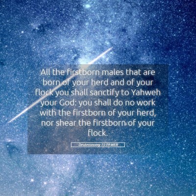 Picture 05 - Deuteronomy 15:19 WEB - All the firstborn males that are born of your - Bible Verse Picture