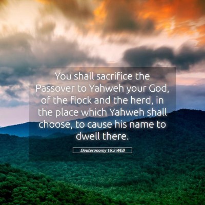 Picture 05 - Deuteronomy 16:2 WEB - You shall sacrifice the Passover to Yahweh your - Bible Verse Picture