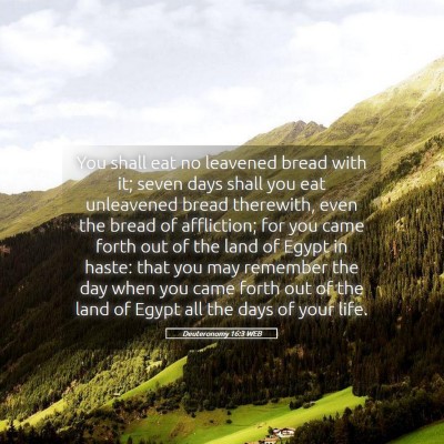 Picture 05 - Deuteronomy 16:3 WEB - You shall eat no leavened bread with it; seven - Bible Verse Picture