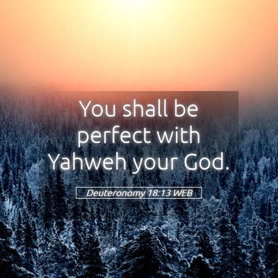 Picture 05 - Deuteronomy 18:13 WEB - You shall be perfect with Yahweh your - Bible Verse Picture