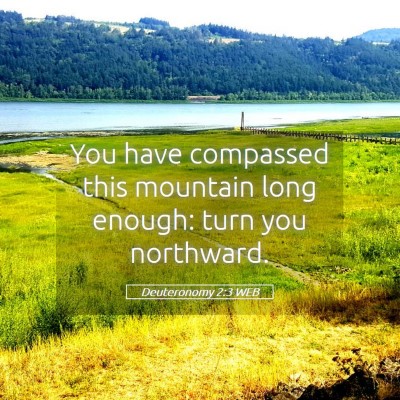 Picture 05 - Deuteronomy 2:3 WEB - You have compassed this mountain long enough: - Bible Verse Picture