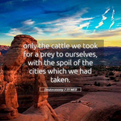 Picture 05 - Deuteronomy 2:35 WEB - only the cattle we took for a prey to ourselves, - Bible Verse Picture