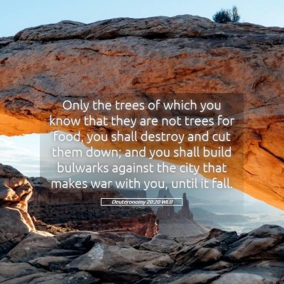 Picture 05 - Deuteronomy 20:20 WEB - Only the trees of which you know that they are - Bible Verse Picture