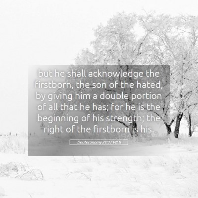 Picture 05 - Deuteronomy 21:17 WEB - but he shall acknowledge the firstborn, the son - Bible Verse Picture