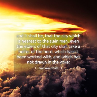 Picture 05 - Deuteronomy 21:3 WEB - and it shall be, that the city which is nearest - Bible Verse Picture