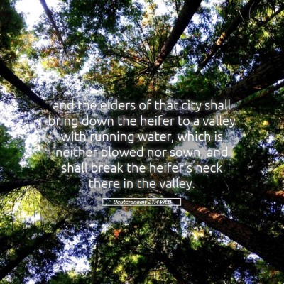 Picture 05 - Deuteronomy 21:4 WEB - and the elders of that city shall bring down the - Bible Verse Picture