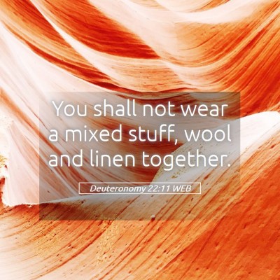 Picture 05 - Deuteronomy 22:11 WEB - You shall not wear a mixed stuff, wool and linen - Bible Verse Picture