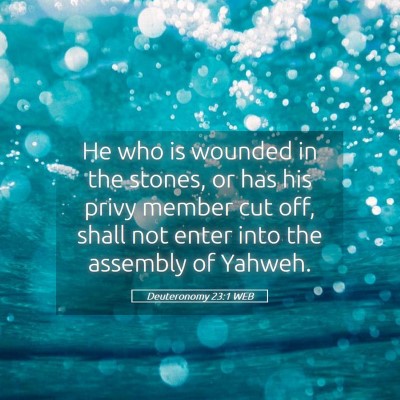 Picture 05 - Deuteronomy 23:1 WEB - He who is wounded in the stones, or has his privy - Bible Verse Picture