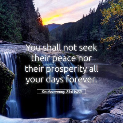 Picture 05 - Deuteronomy 23:6 WEB - You shall not seek their peace nor their - Bible Verse Picture