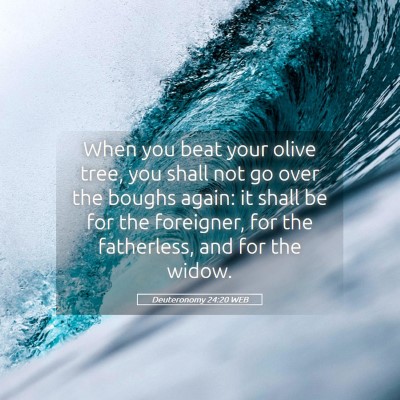 Picture 05 - Deuteronomy 24:20 WEB - When you beat your olive tree, you shall not go - Bible Verse Picture