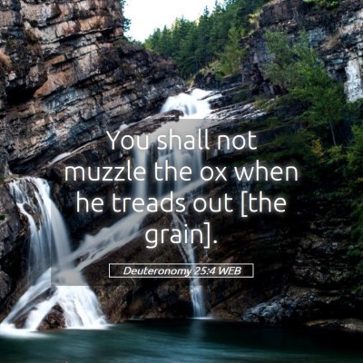 Picture 05 - Deuteronomy 25:4 WEB - You shall not muzzle the ox when he treads out - Bible Verse Picture