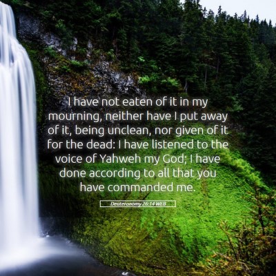 Picture 05 - Deuteronomy 26:14 WEB - I have not eaten of it in my mourning, neither - Bible Verse Picture