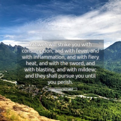 Picture 05 - Deuteronomy 28:22 WEB - Yahweh will strike you with consumption, and with - Bible Verse Picture