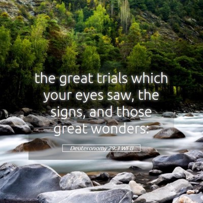Picture 05 - Deuteronomy 29:3 WEB - the great trials which your eyes saw, the signs, - Bible Verse Picture