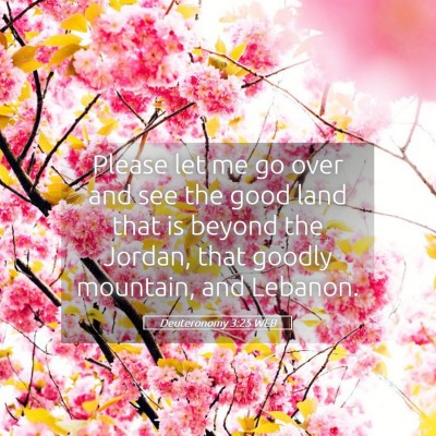 Picture 05 - Deuteronomy 3:25 WEB - Please let me go over and see the good land that - Bible Verse Picture