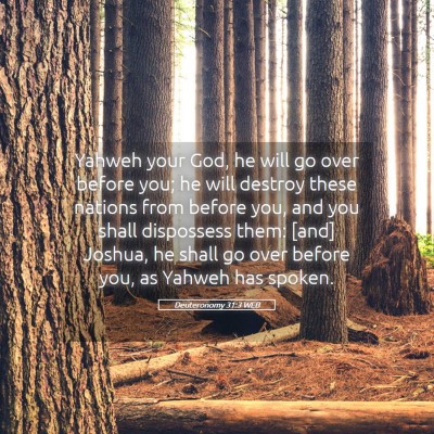 Picture 05 - Deuteronomy 31:3 WEB - Yahweh your God, he will go over before you; he - Bible Verse Picture