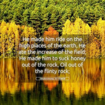 Picture 05 - Deuteronomy 32:13 WEB - He made him ride on the high places of the earth, - Bible Verse Picture
