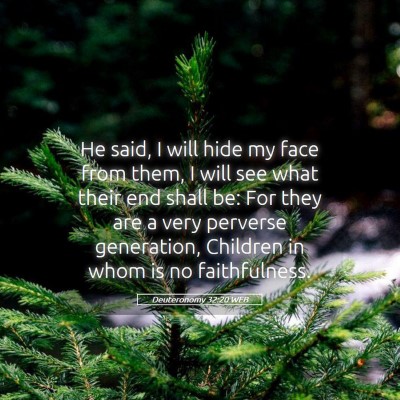 Picture 05 - Deuteronomy 32:20 WEB - He said, I will hide my face from them, I will - Bible Verse Picture