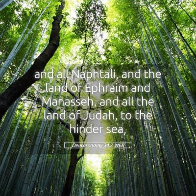 Picture 05 - Deuteronomy 34:2 WEB - and all Naphtali, and the land of Ephraim and - Bible Verse Picture