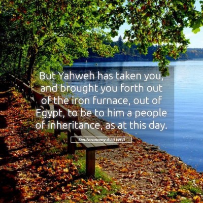 Picture 05 - Deuteronomy 4:20 WEB - But Yahweh has taken you, and brought you forth - Bible Verse Picture