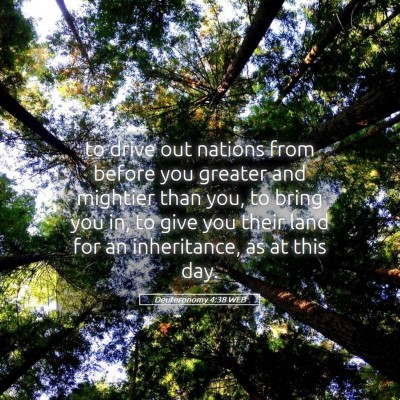 Picture 05 - Deuteronomy 4:38 WEB - to drive out nations from before you greater and - Bible Verse Picture