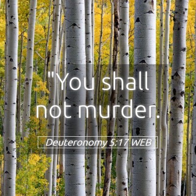 Picture 05 - Deuteronomy 5:17 WEB - 
