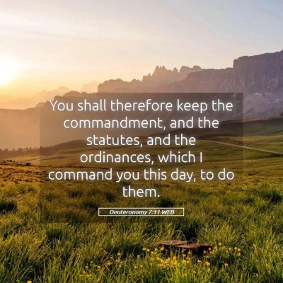 Picture 05 - Deuteronomy 7:11 WEB - You shall therefore keep the commandment, and the - Bible Verse Picture