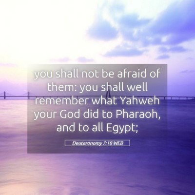 Picture 05 - Deuteronomy 7:18 WEB - you shall not be afraid of them: you shall well - Bible Verse Picture