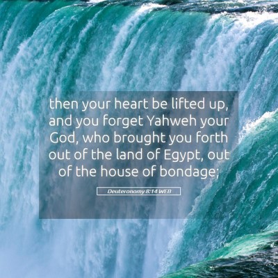 Picture 05 - Deuteronomy 8:14 WEB - then your heart be lifted up, and you forget - Bible Verse Picture