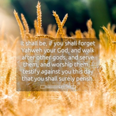 Picture 05 - Deuteronomy 8:19 WEB - It shall be, if you shall forget Yahweh your God, - Bible Verse Picture