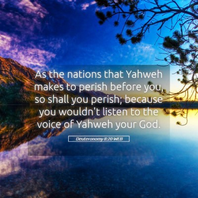 Picture 05 - Deuteronomy 8:20 WEB - As the nations that Yahweh makes to perish before - Bible Verse Picture