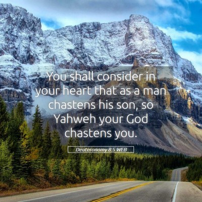 Picture 05 - Deuteronomy 8:5 WEB - You shall consider in your heart that as a man - Bible Verse Picture