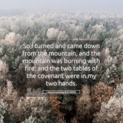 Picture 05 - Deuteronomy 9:15 WEB - So I turned and came down from the mountain, and - Bible Verse Picture