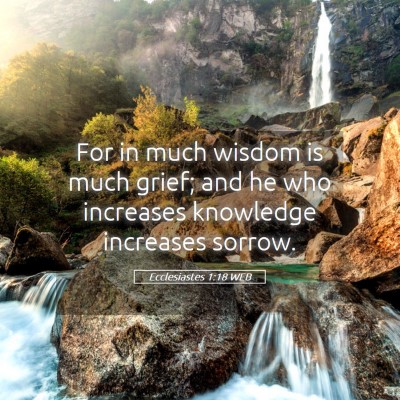 Picture 05 - Ecclesiastes 1:18 WEB - For in much wisdom is much grief; and he who - Bible Verse Picture