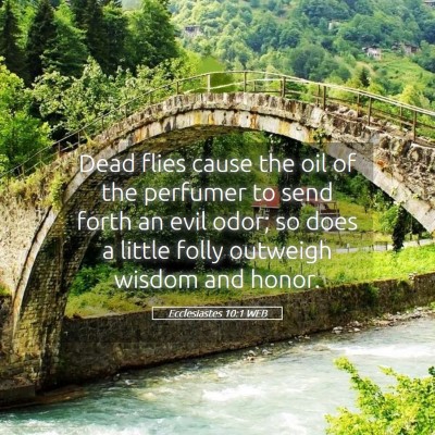 Picture 05 - Ecclesiastes 10:1 WEB - Dead flies cause the oil of the perfumer to send - Bible Verse Picture