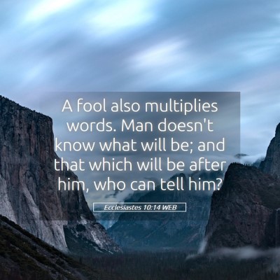 Picture 05 - Ecclesiastes 10:14 WEB - A fool also multiplies words. Man doesn't know - Bible Verse Picture
