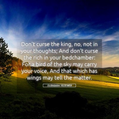 Picture 05 - Ecclesiastes 10:20 WEB - Don't curse the king, no, not in your thoughts; - Bible Verse Picture