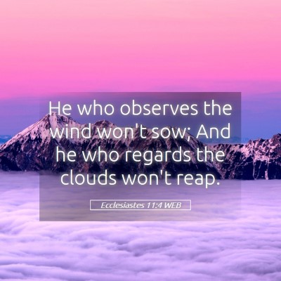 Picture 05 - Ecclesiastes 11:4 WEB - He who observes the wind won't sow; And he who - Bible Verse Picture