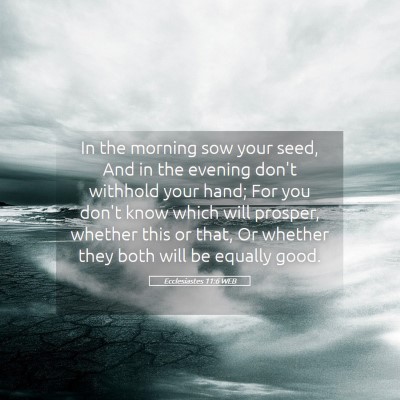 Picture 05 - Ecclesiastes 11:6 WEB - In the morning sow your seed, And in the evening - Bible Verse Picture