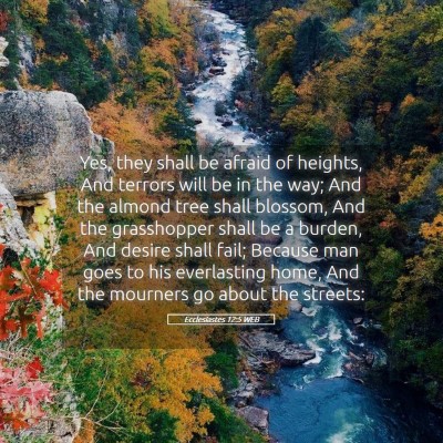Picture 05 - Ecclesiastes 12:5 WEB - Yes, they shall be afraid of heights, And terrors - Bible Verse Picture