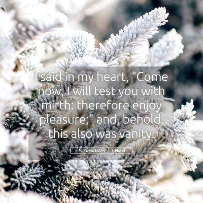 Picture 05 - Ecclesiastes 2:1 WEB - I said in my heart, 