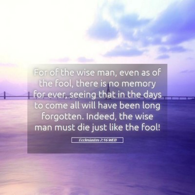 Picture 05 - Ecclesiastes 2:16 WEB - For of the wise man, even as of the fool, there - Bible Verse Picture