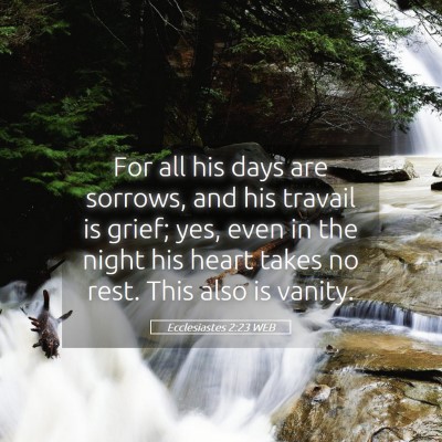 Picture 05 - Ecclesiastes 2:23 WEB - For all his days are sorrows, and his travail is - Bible Verse Picture