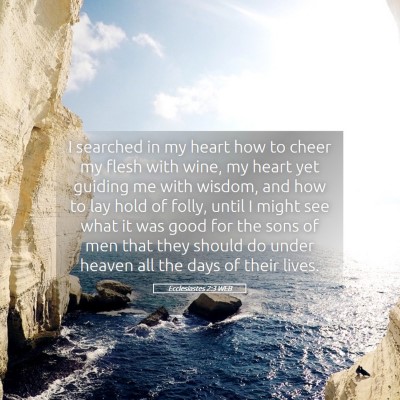 Picture 05 - Ecclesiastes 2:3 WEB - I searched in my heart how to cheer my flesh with - Bible Verse Picture