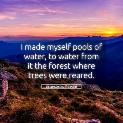Picture 05 - Ecclesiastes 2:6 WEB - I made myself pools of water, to water from it - Bible Verse Picture